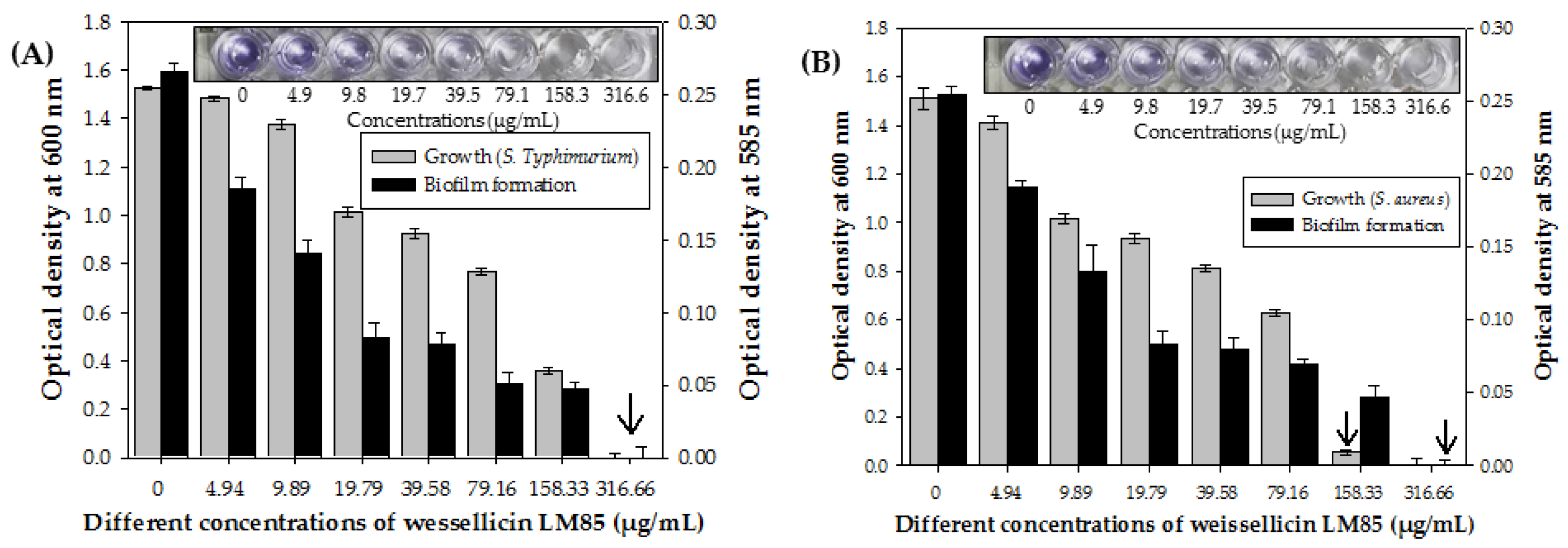 Nutraceuticals 05 00033 g006
