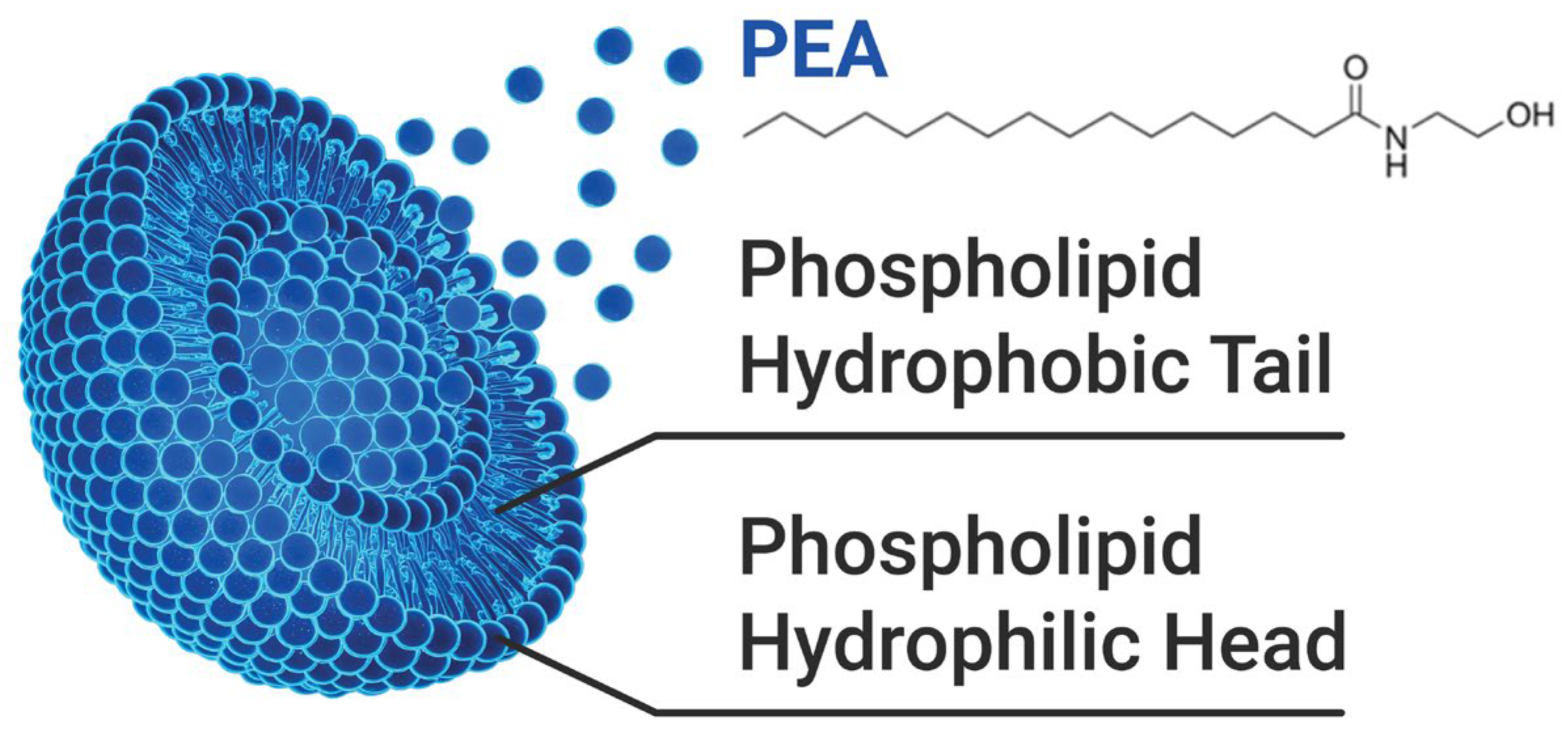 Nutraceuticals 05 00034 g005