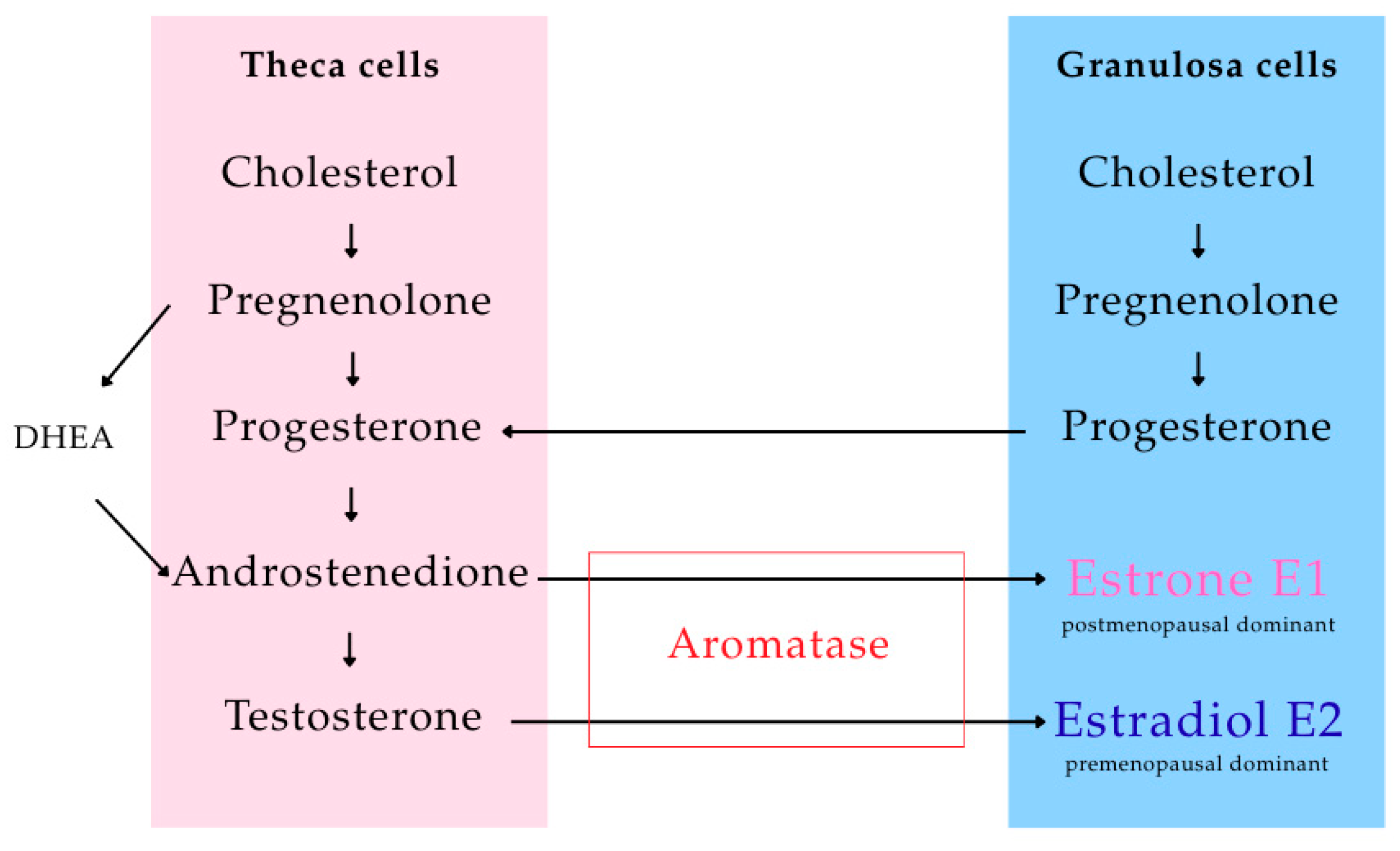 Nutraceuticals 05 00037 g001