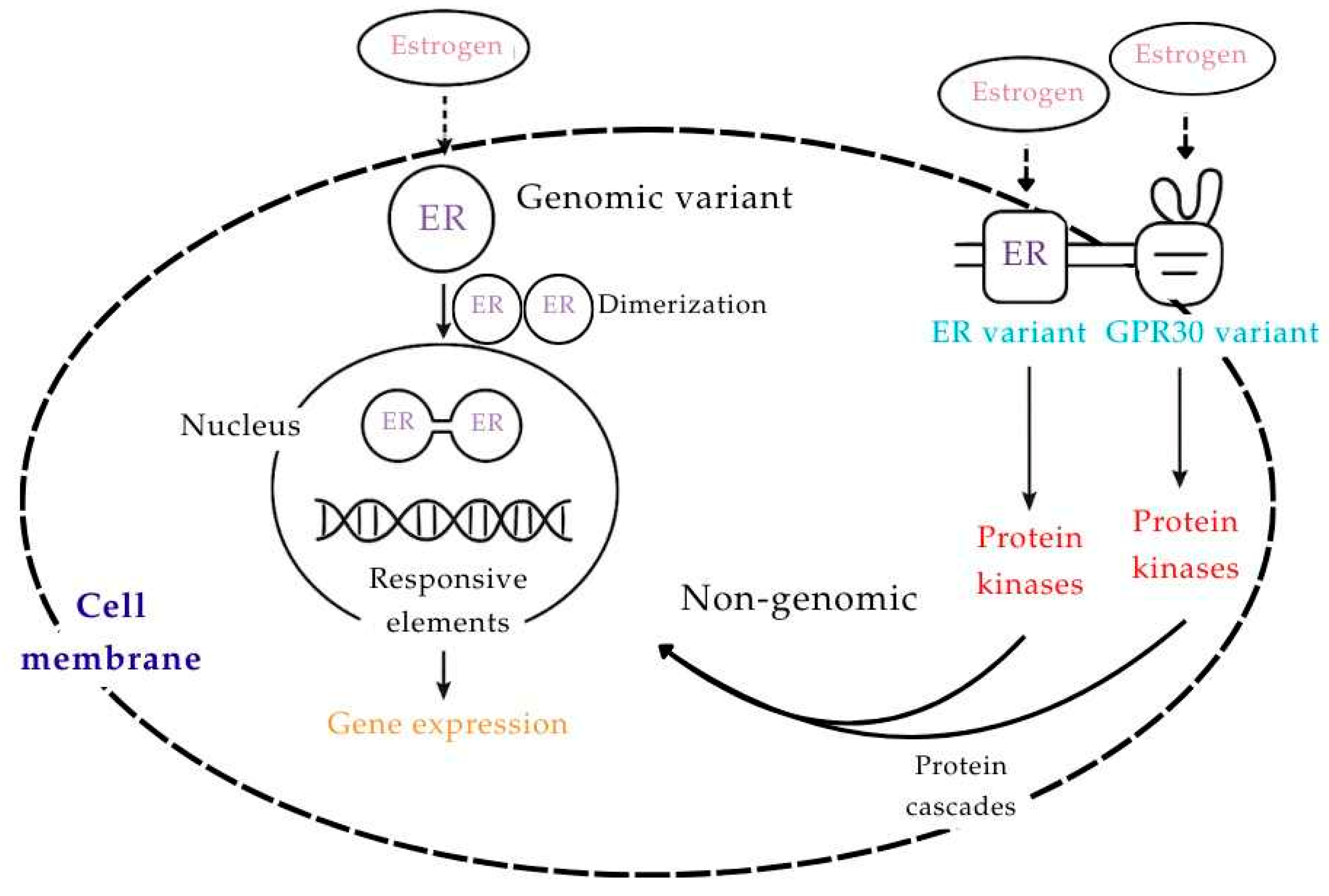 Nutraceuticals 05 00037 g002