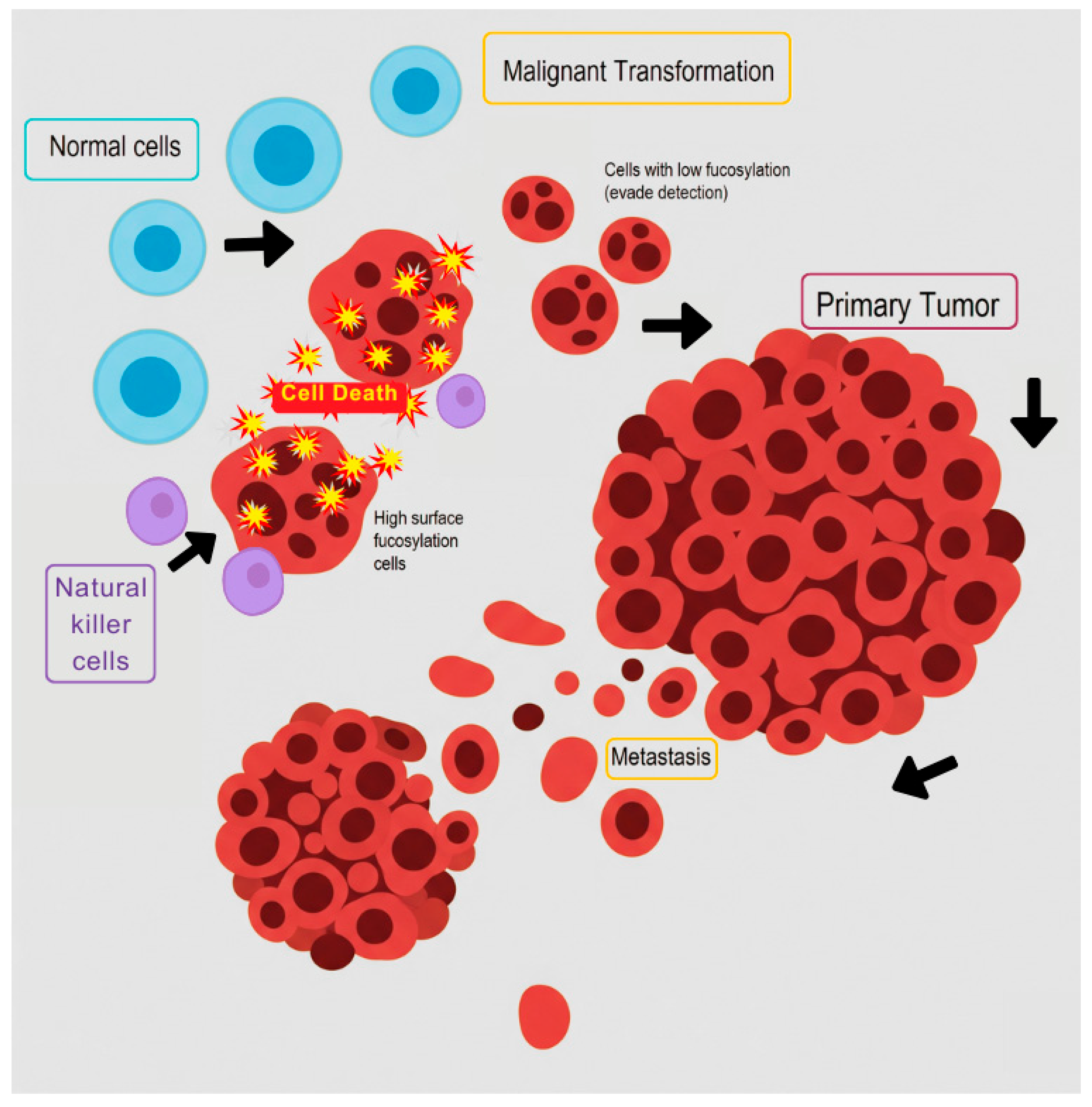 Nutraceuticals 05 00037 g005