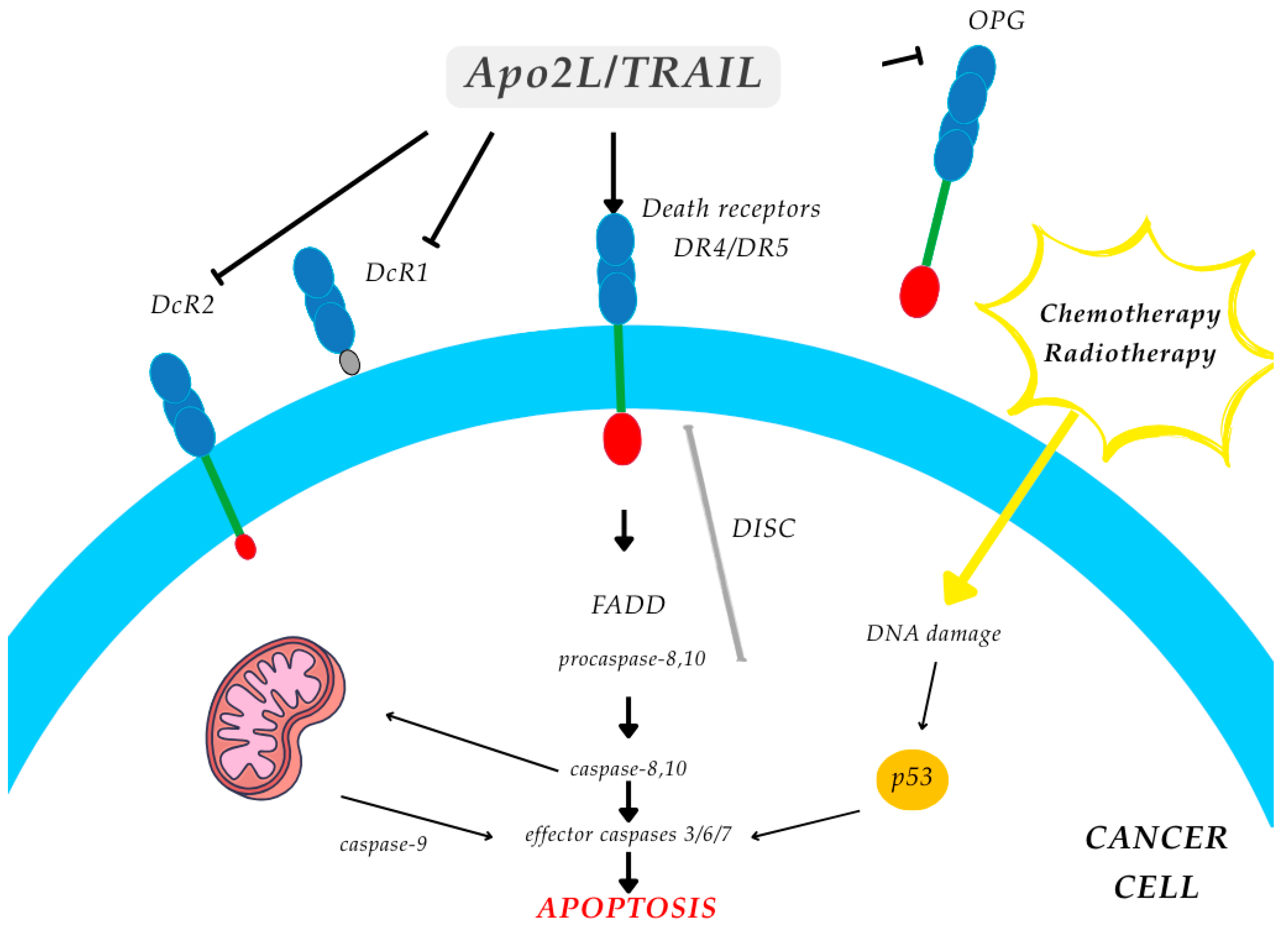 Nutraceuticals 05 00037 g007