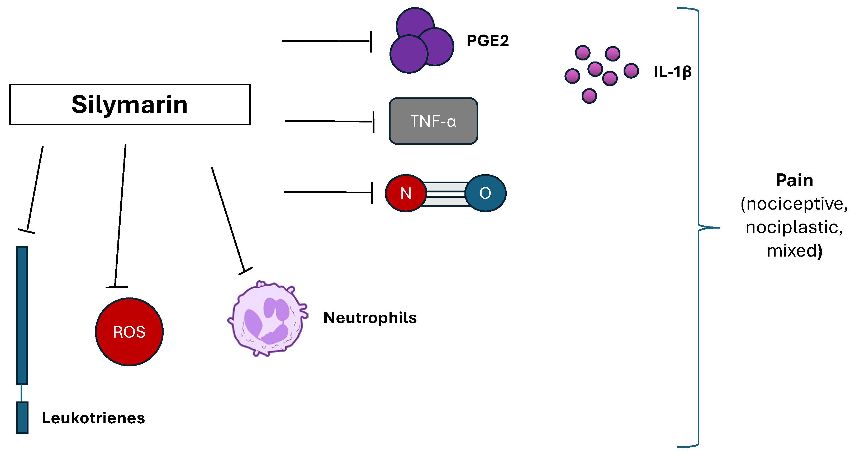 Nutraceuticals 05 00038 g003