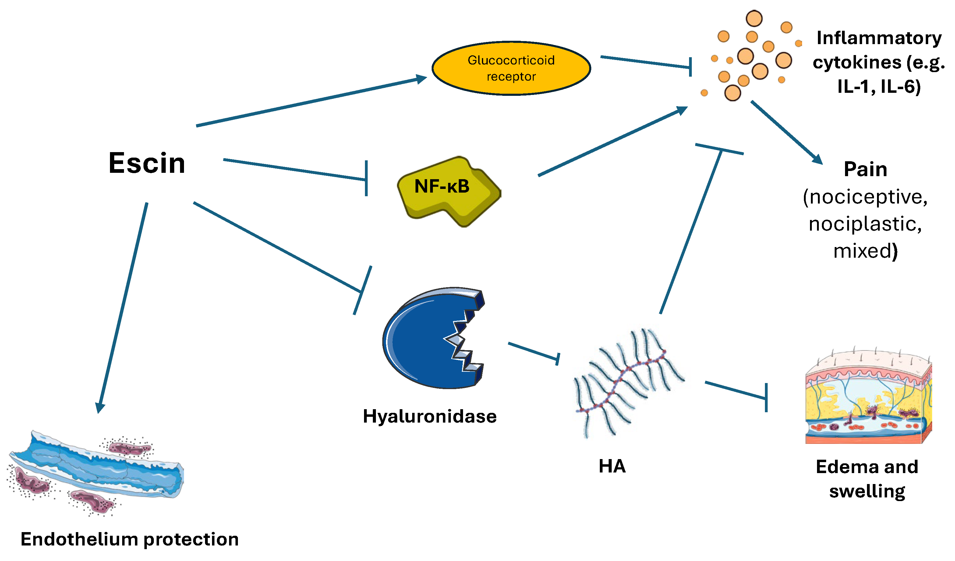 Nutraceuticals 05 00038 g004