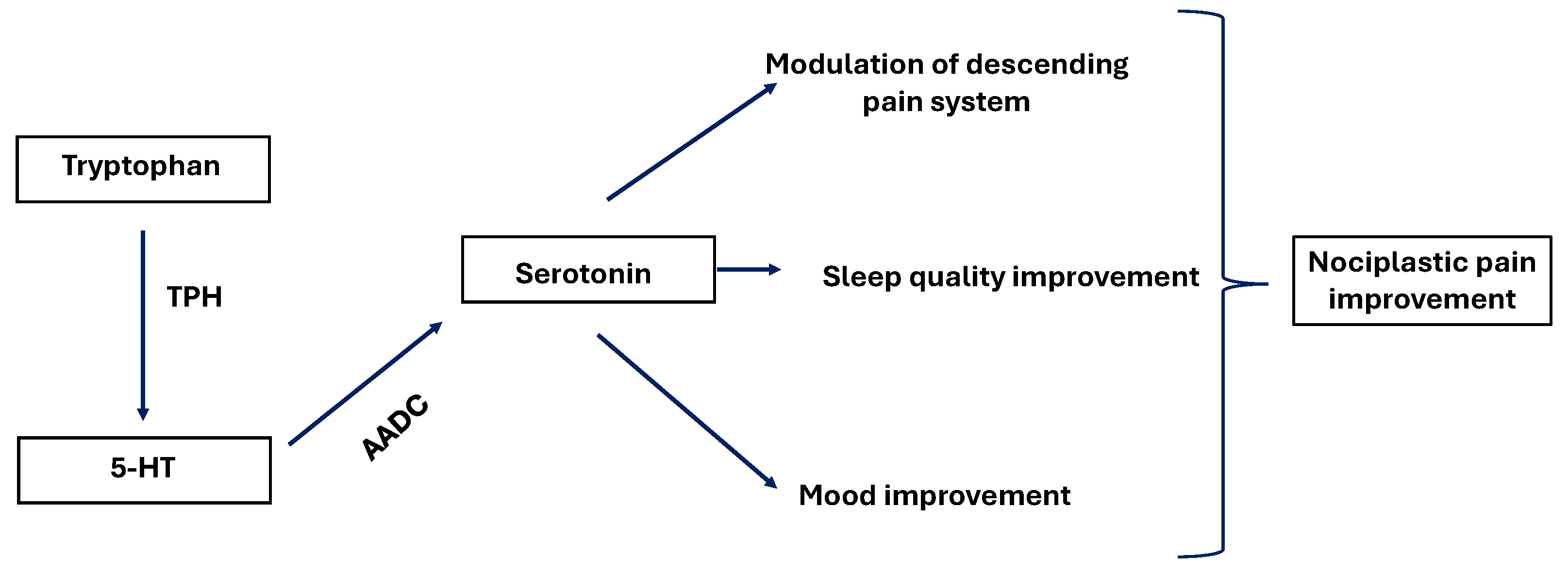 Nutraceuticals 05 00038 g005