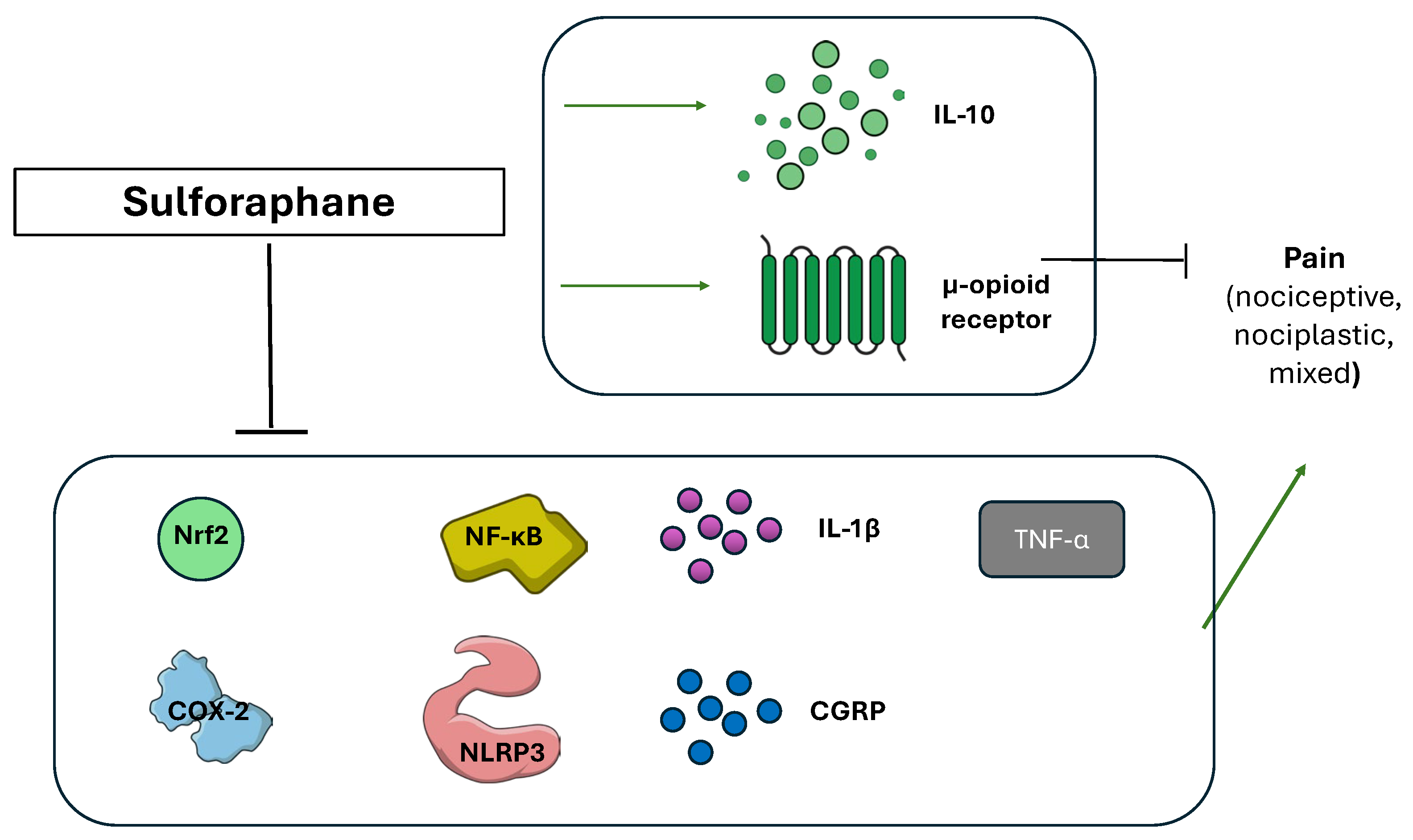 Nutraceuticals 05 00038 g007