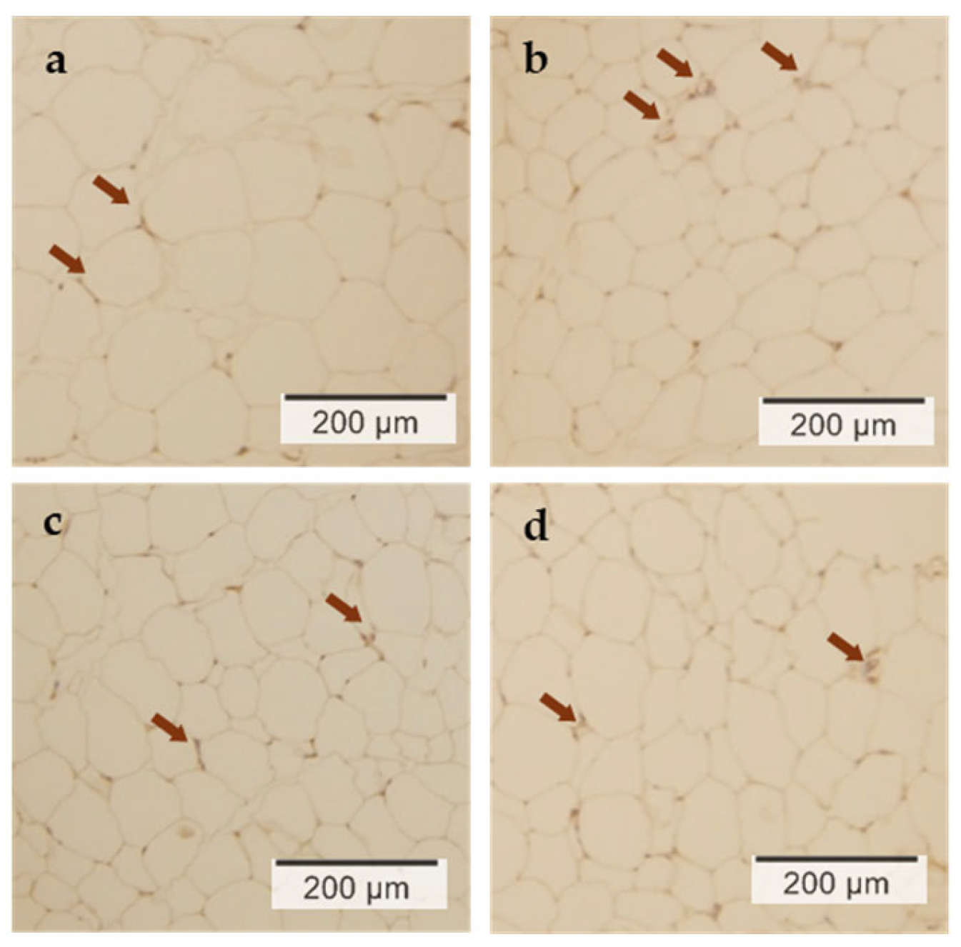 Nutraceuticals 05 00039 g003