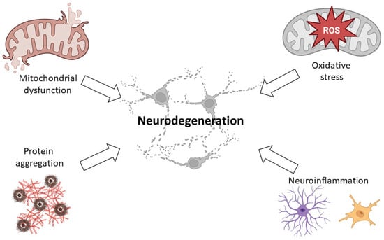Main molecular mechanisms underlying neuronal death in neurodegenerative diseases.