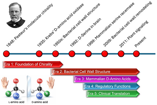 Nutraceuticals 06 00015 g001