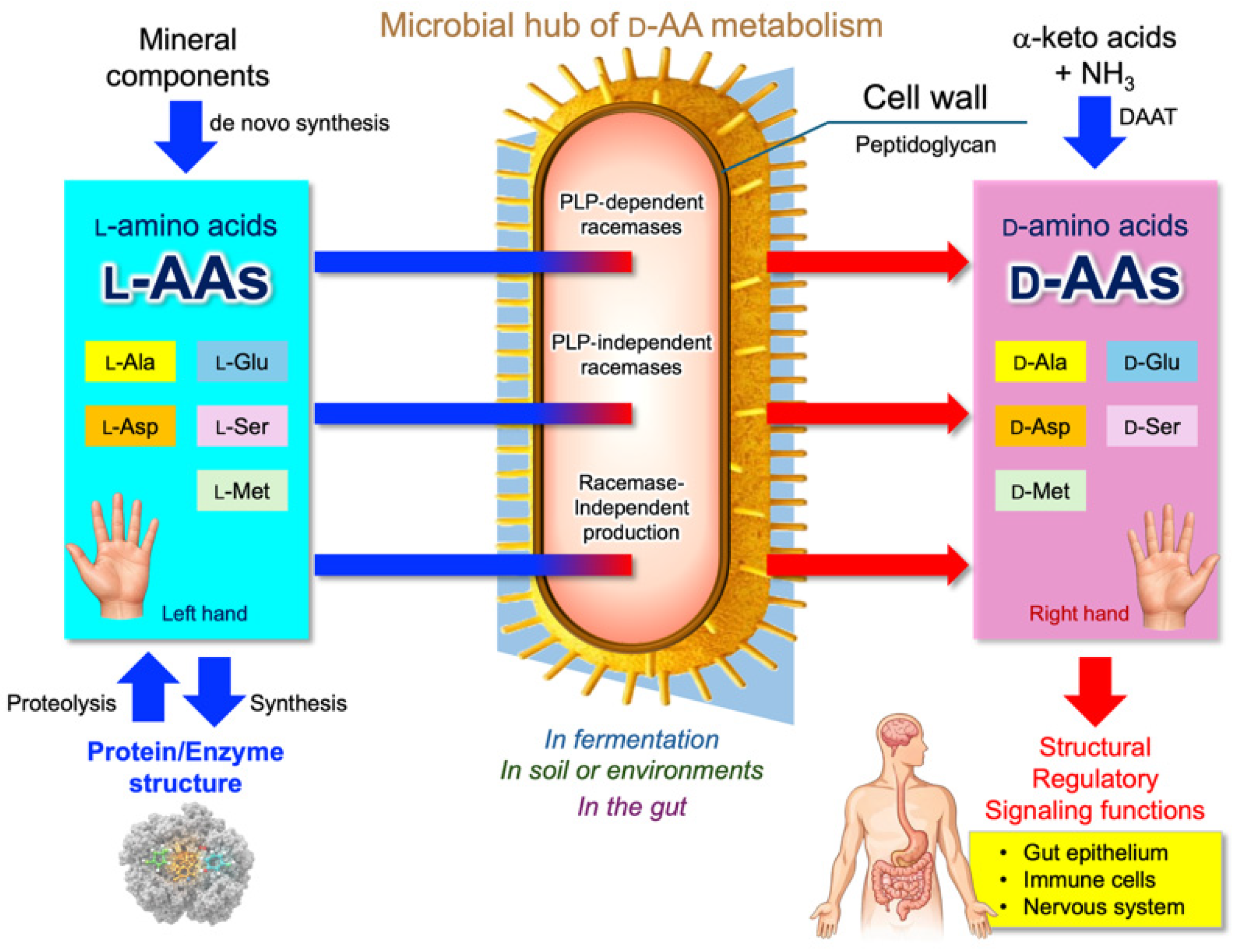 Nutraceuticals 06 00015 g002