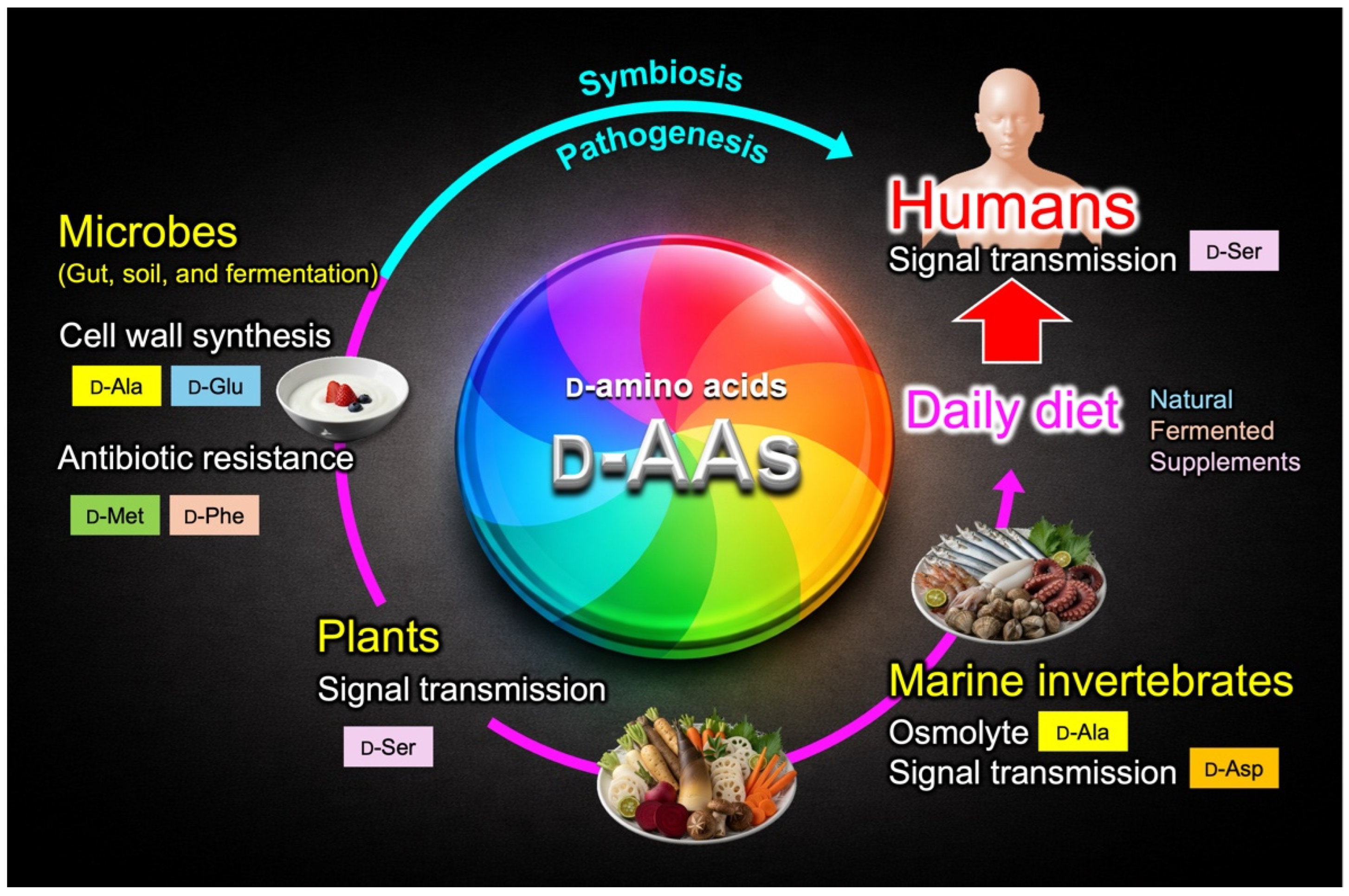 Nutraceuticals 06 00015 g003