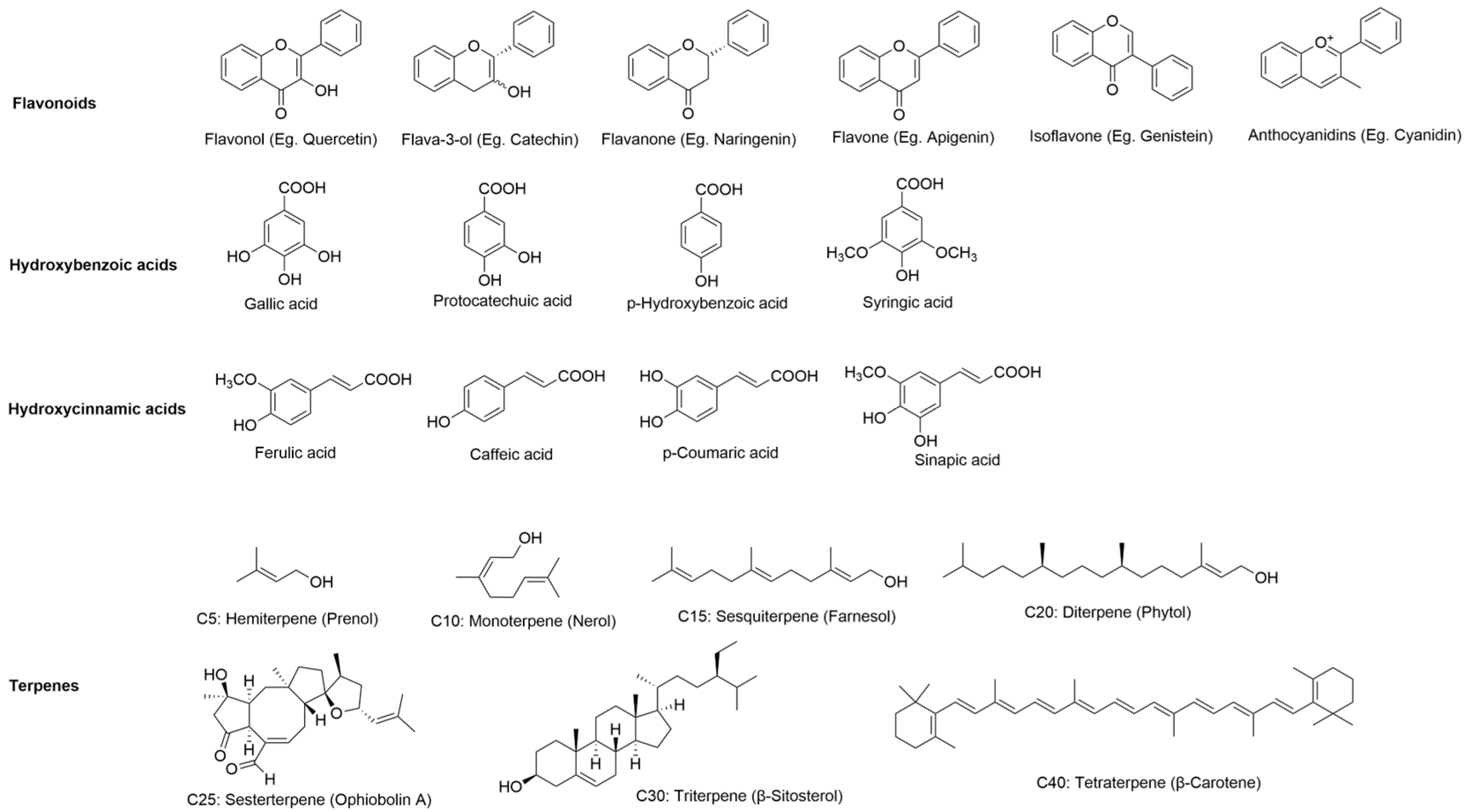 Nutraceuticals 06 00017 g003 Nutraceuticals 06 00017 g003