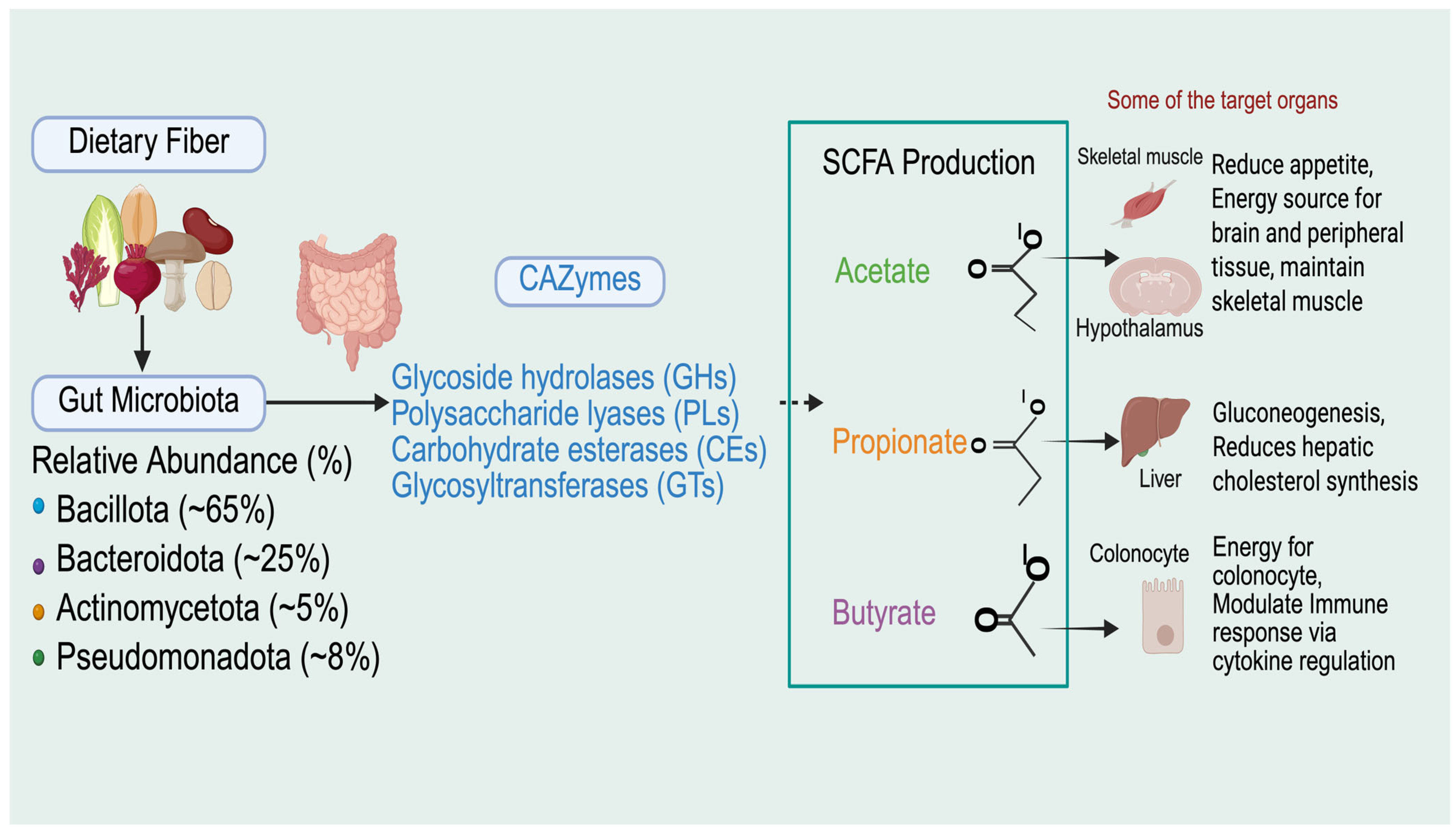 Nutraceuticals 06 00018 g001
