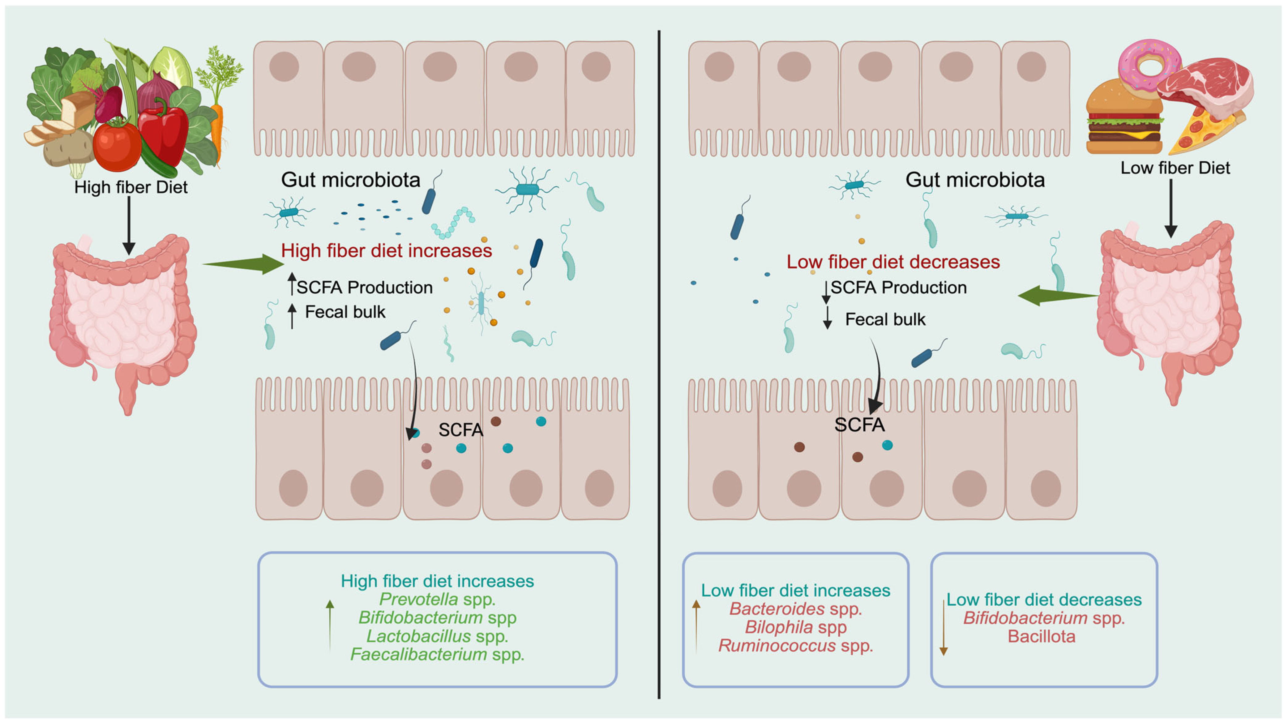 Nutraceuticals 06 00018 g002