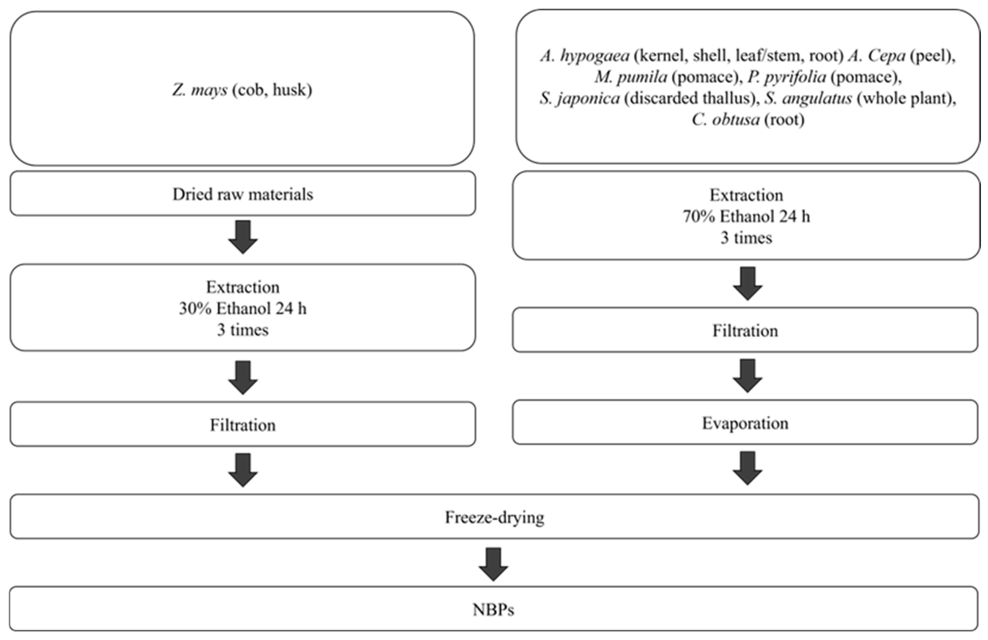 Nutraceuticals 06 00021 g001 Nutraceuticals 06 00021 g001