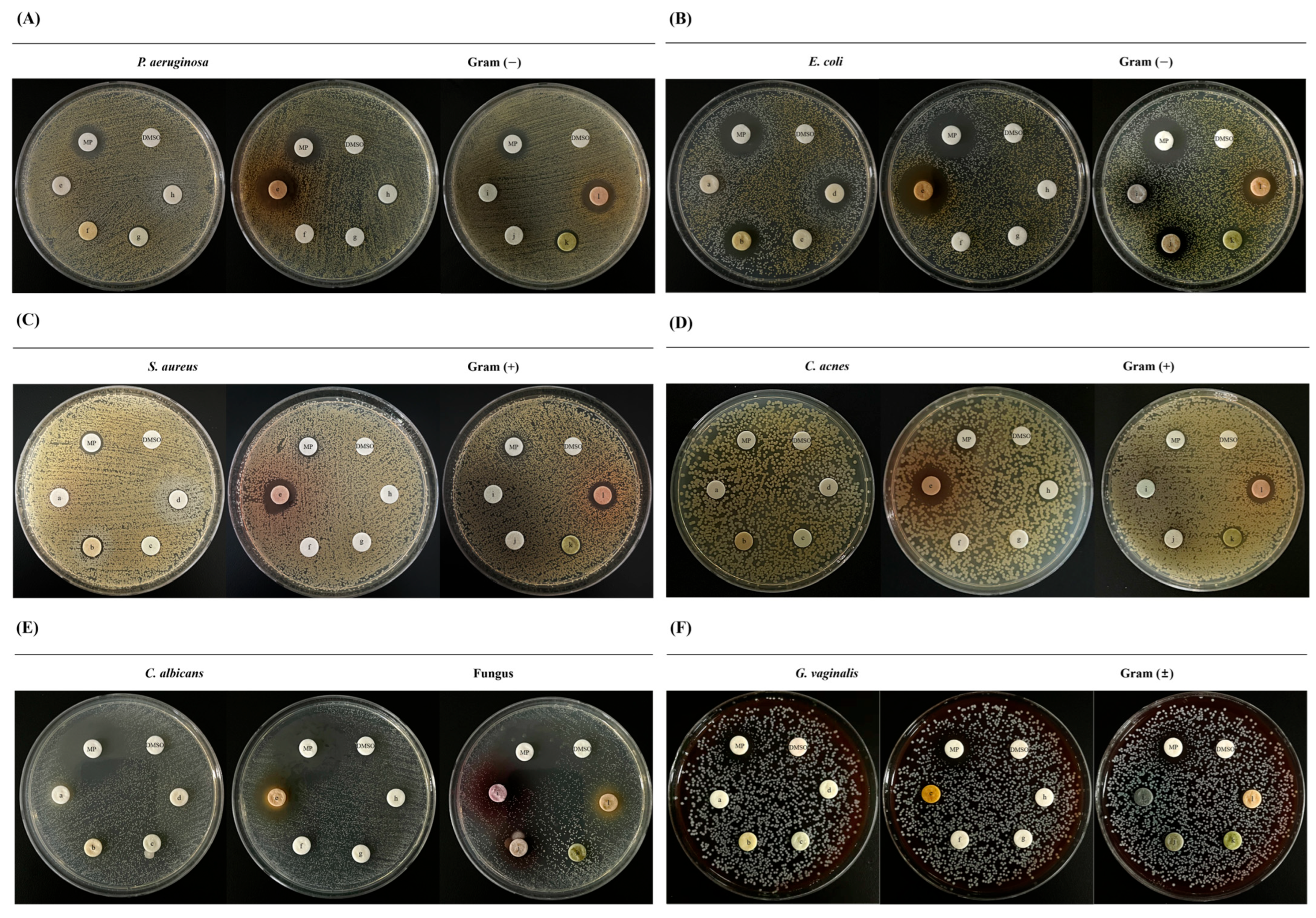 Nutraceuticals 06 00021 g003 Nutraceuticals 06 00021 g003