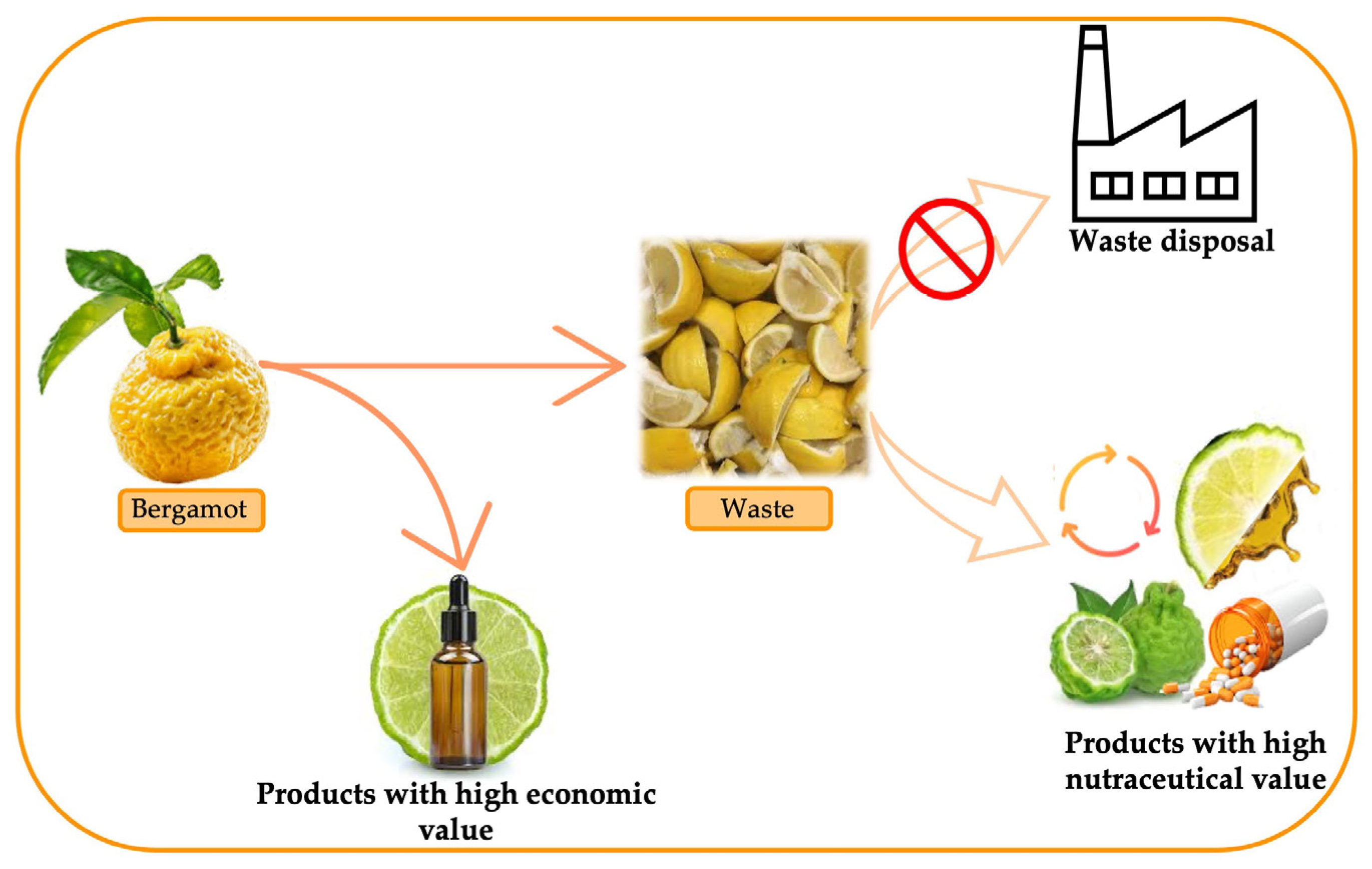 Nutraceuticals 06 00051 g004 Nutraceuticals 06 00051 g004