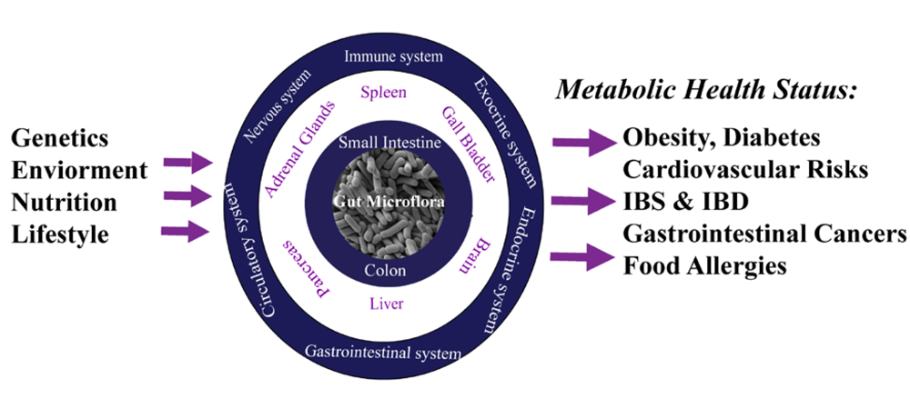 Nutrients 01 00101 g002 1024