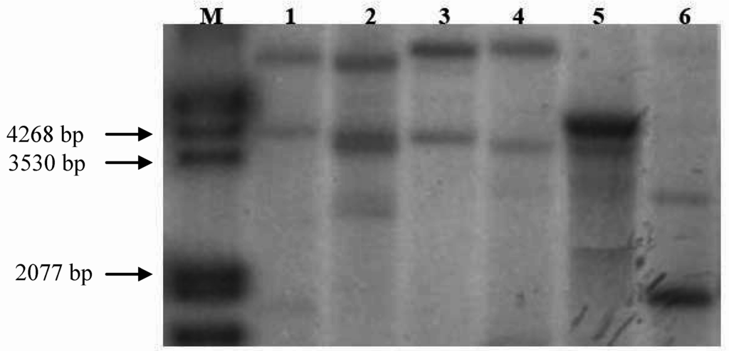 Nutrients 01 00119 g001 1024