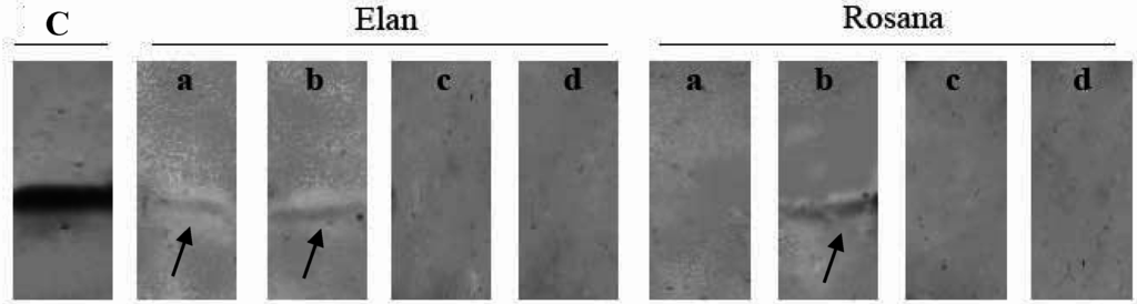 Nutrients 01 00119 g002 1024
