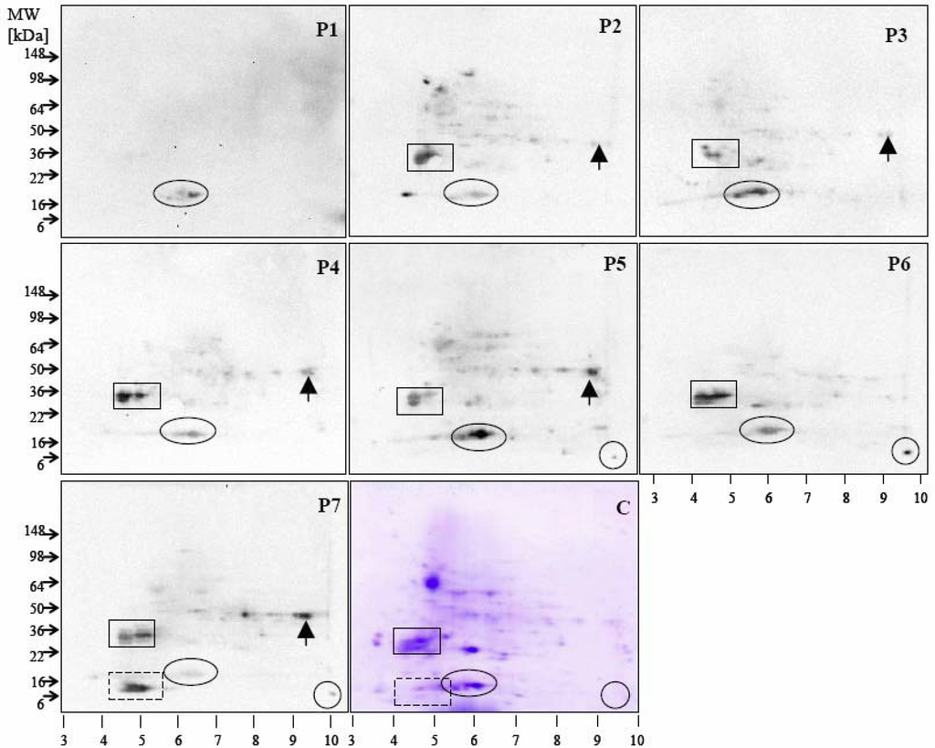 Nutrients 01 00119 g004 1024