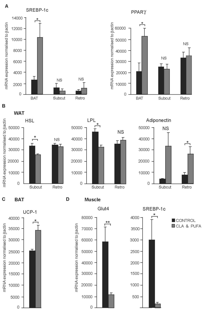 Nutrients 01 00178 g005