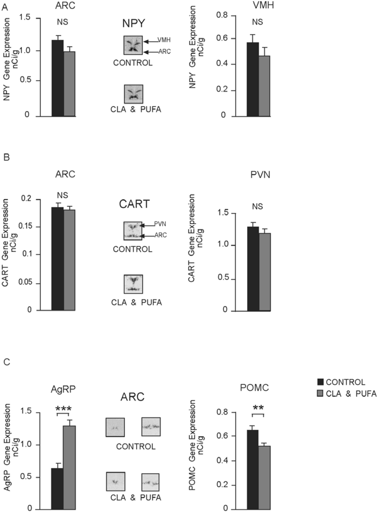 Nutrients 01 00178 g006