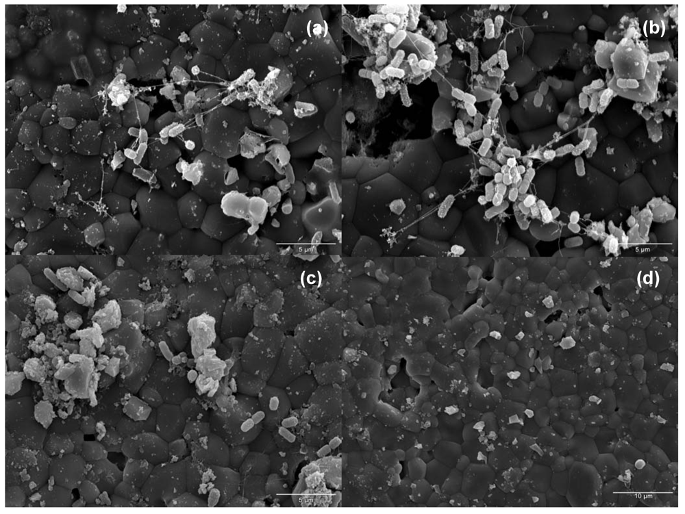 Nutrients 02 00290 g001