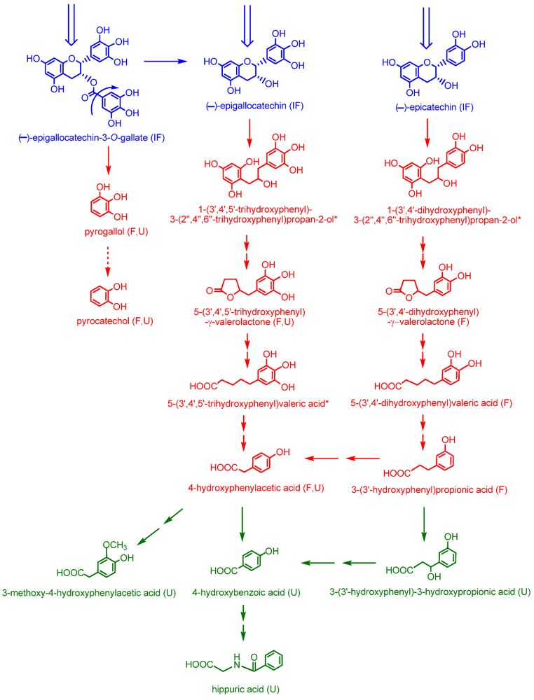 Nutrients 02 00820 g005 1024