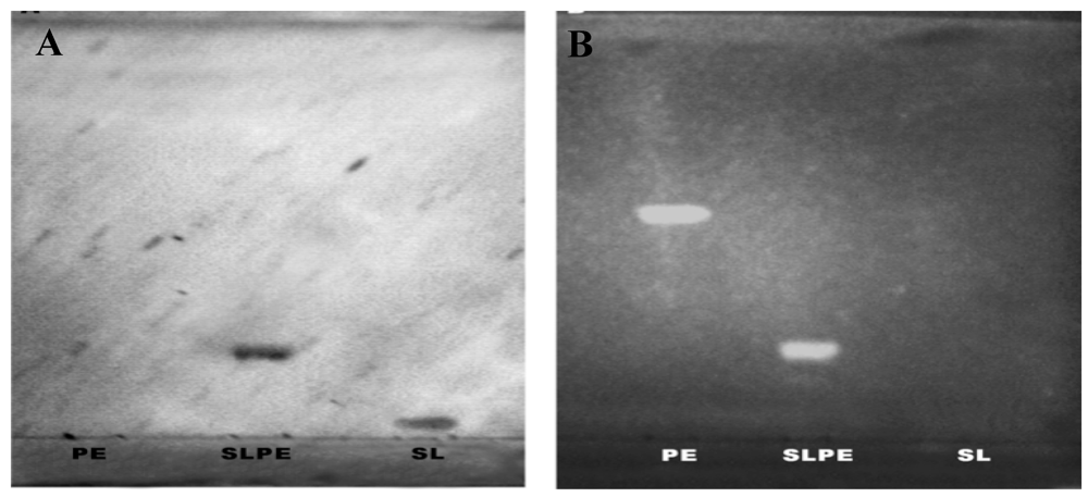 Nutrients 03 00228 g003 1024
