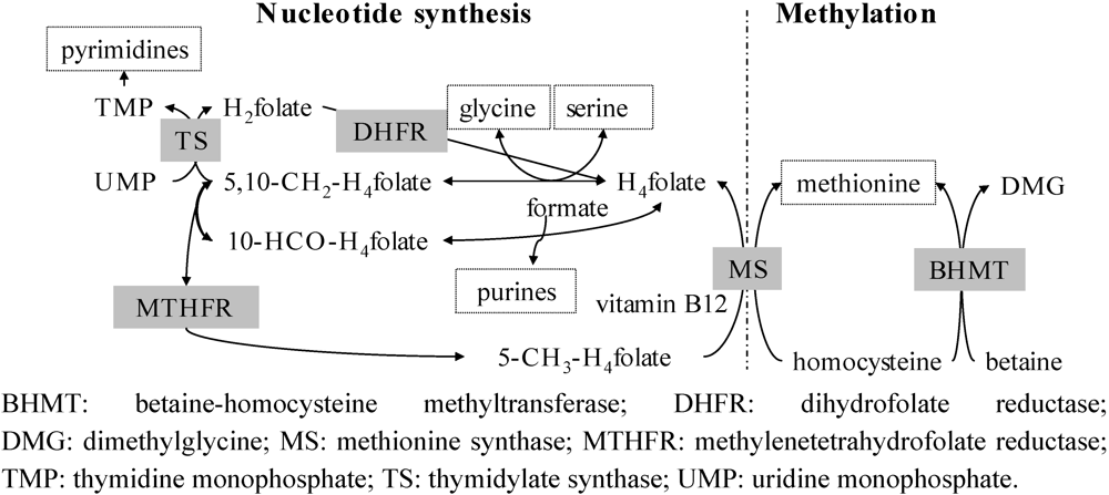 Nutrients 03 00475 g001