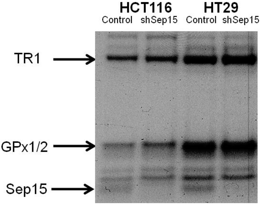 Nutrients 03 00805 g002 1024