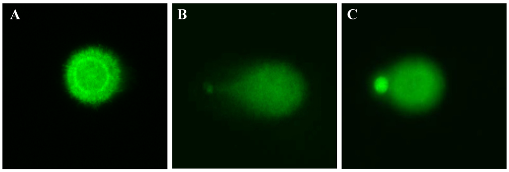 Nutrients 03 00839 g003