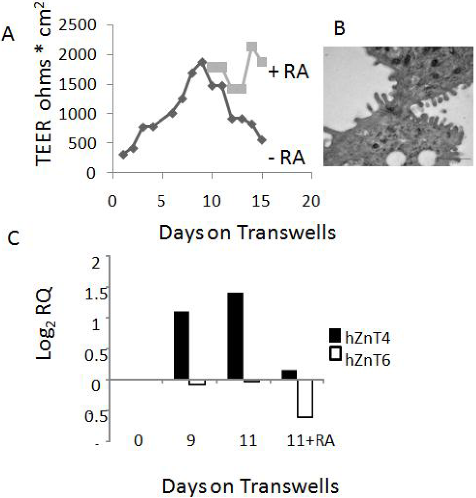 Nutrients 03 00910 g002 1024