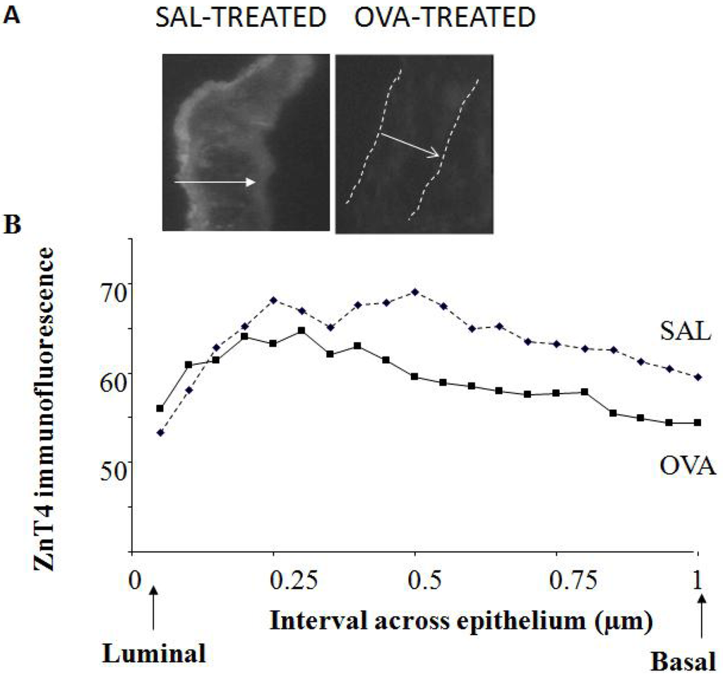 Nutrients 03 00910 g005 1024