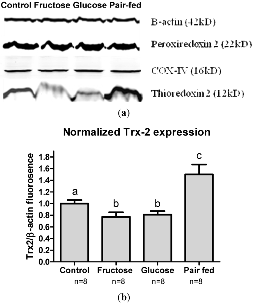 Nutrients 03 00987 g006 1024