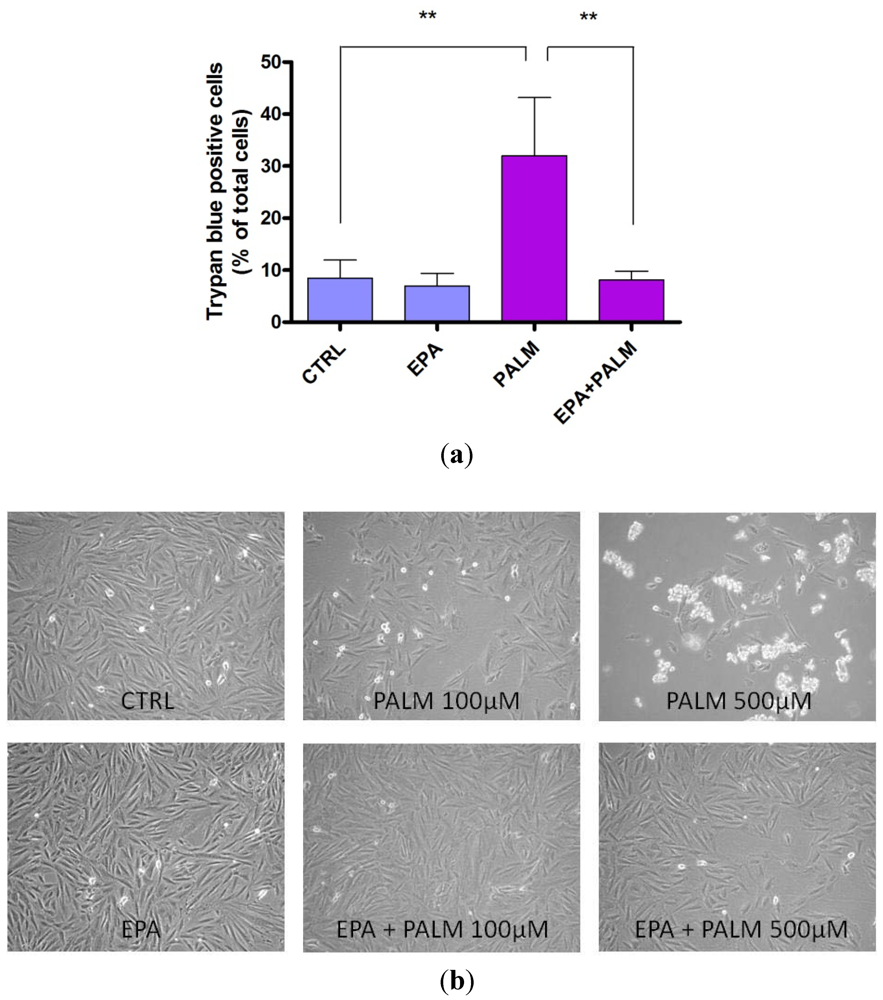 Nutrients 04 00078 g002 1024