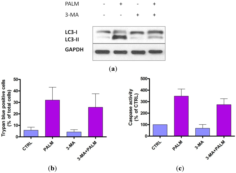 Nutrients 04 00078 g005 1024