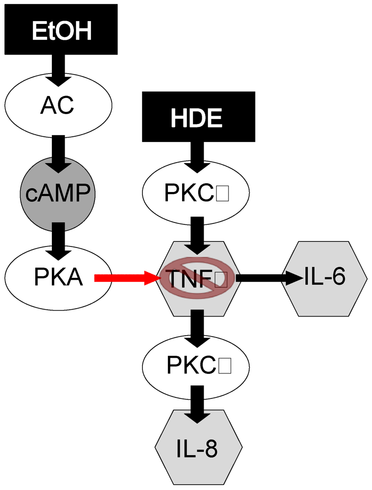 Nutrients 04 00695 g008 1024