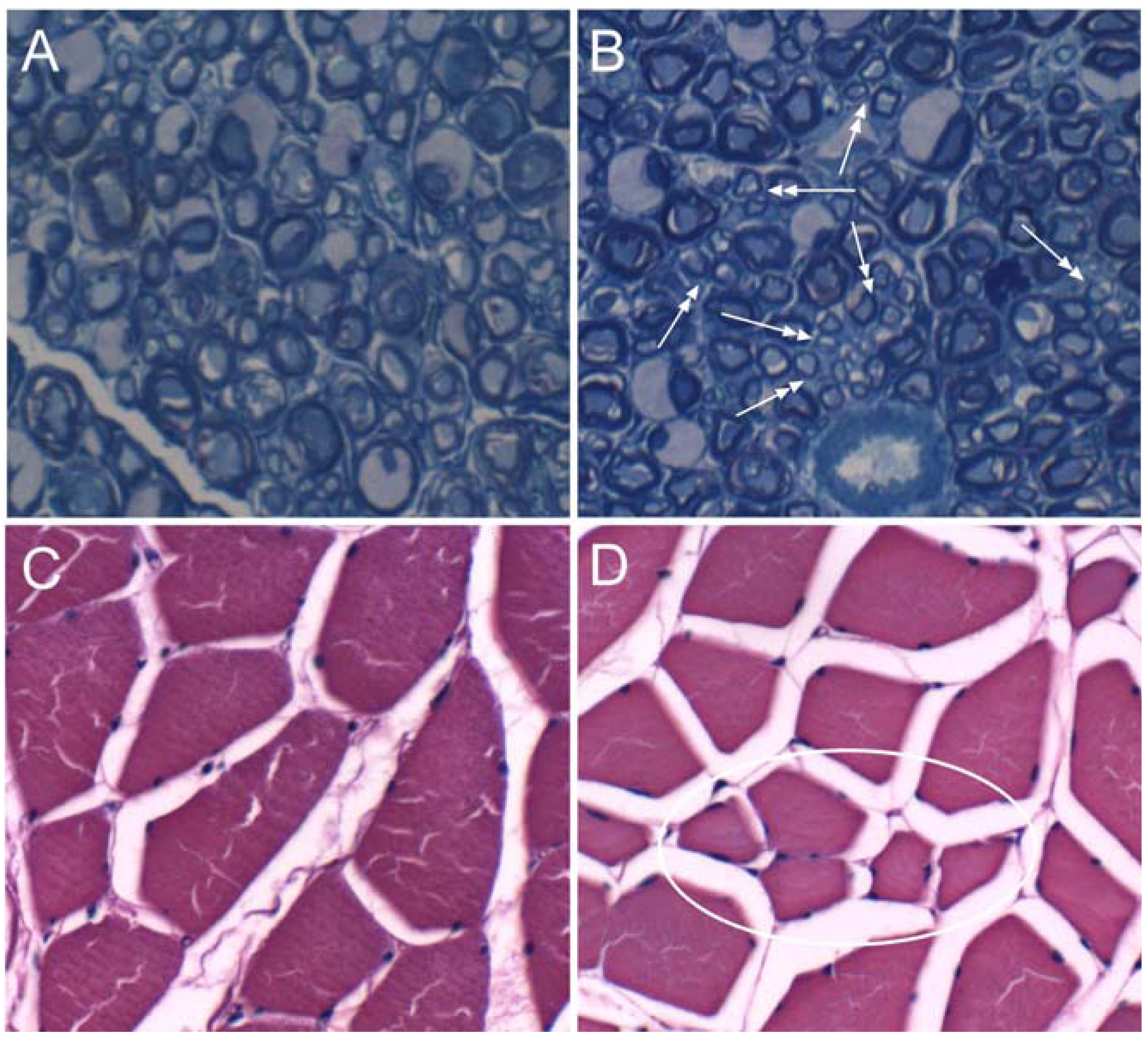 Nutrients 04 01042 g001