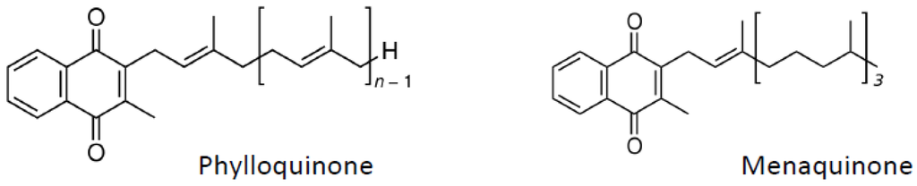 Nutrients 04 01622 g004 1024