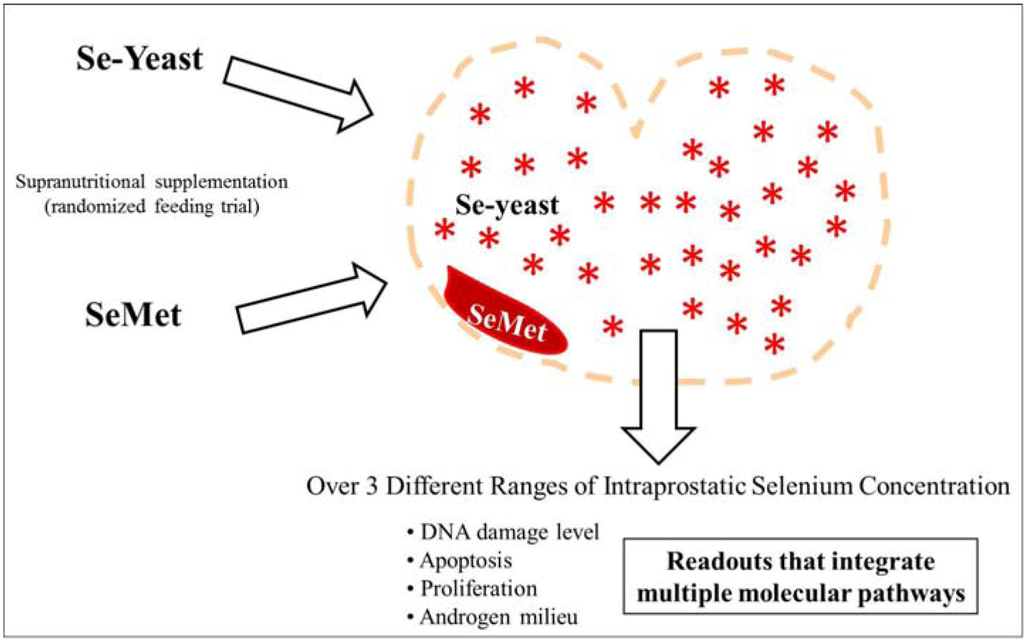 Nutrients 04 01650 g001 1024