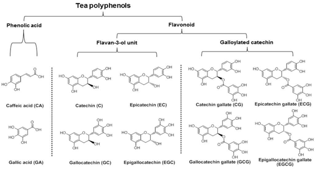 Nutrients 04 01679 g001 1024