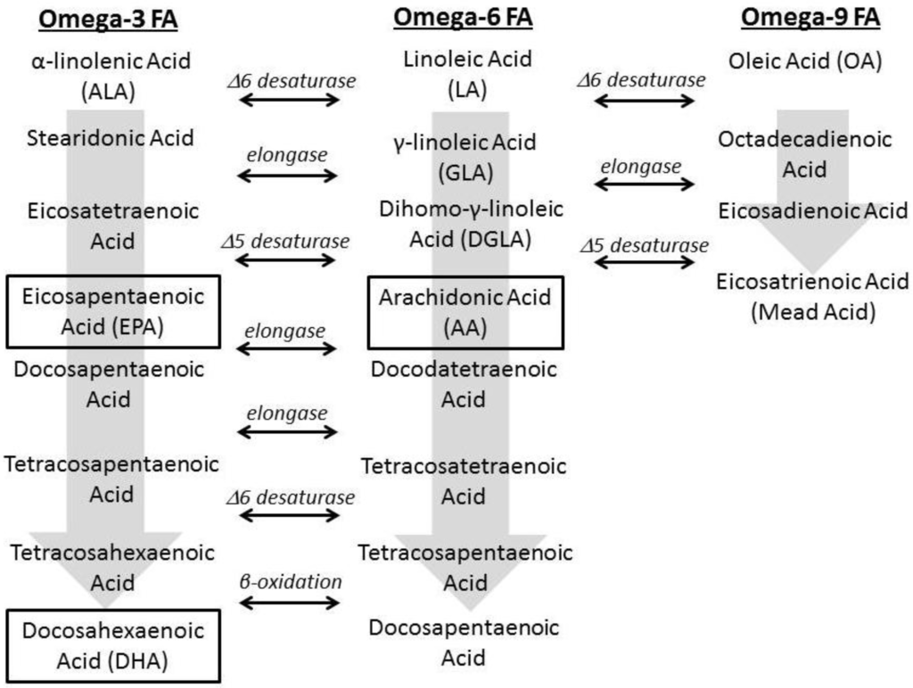 Nutrients 04 01828 g001 1024