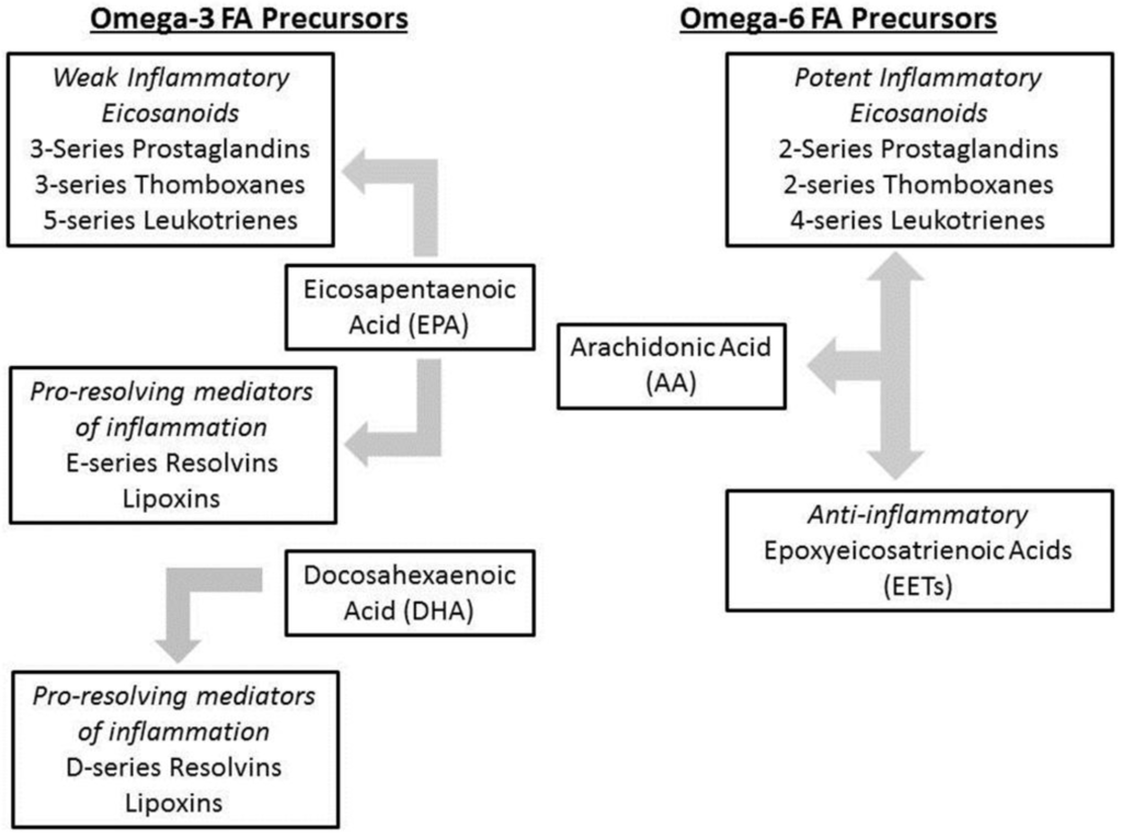 Nutrients 04 01828 g002 1024