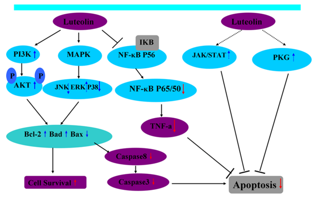 Nutrients 04 02008 g002 1024