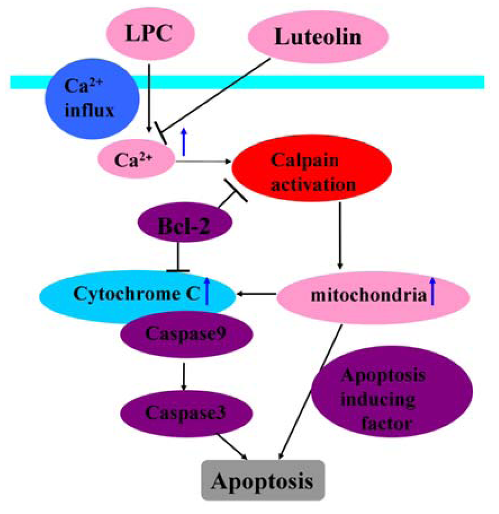 Nutrients 04 02008 g003 1024