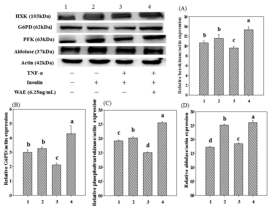 Nutrients 05 00455 g004 1024