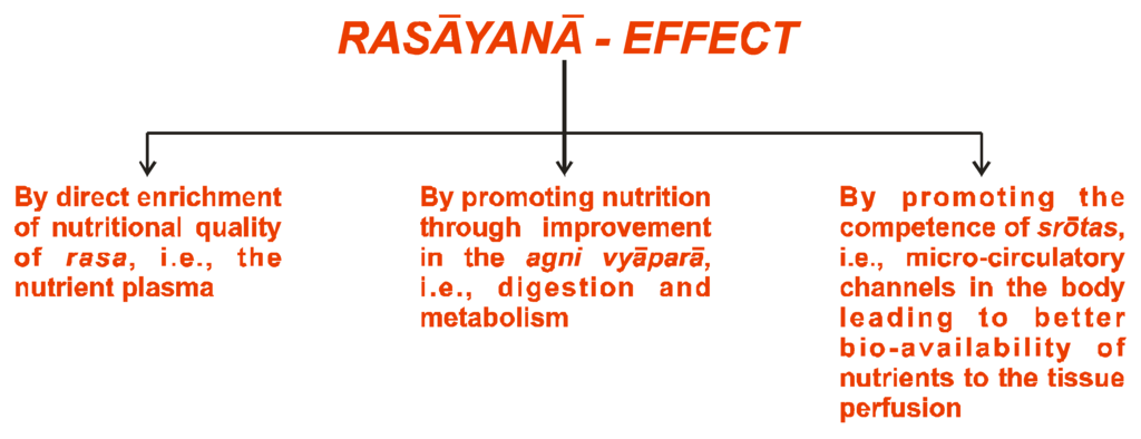 Nutrients 05 00478 g007 1024