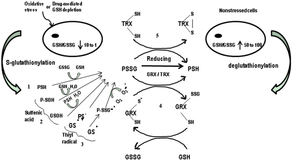 Nutrients 05 00525 g001 1024